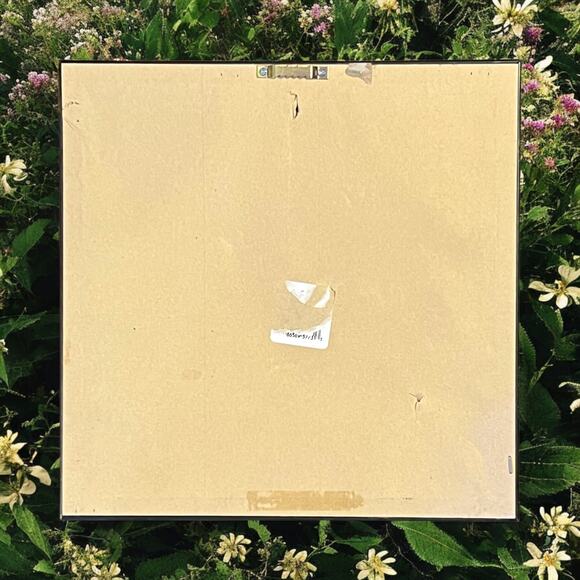 Flower Art Print-Framed on Board-11x11''-Wall-Floral-Daisy-Contemporary-Modern - Picture 3 of 6